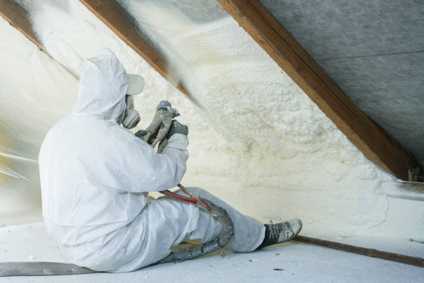 Best Basement Insulation  in Eupora, MS